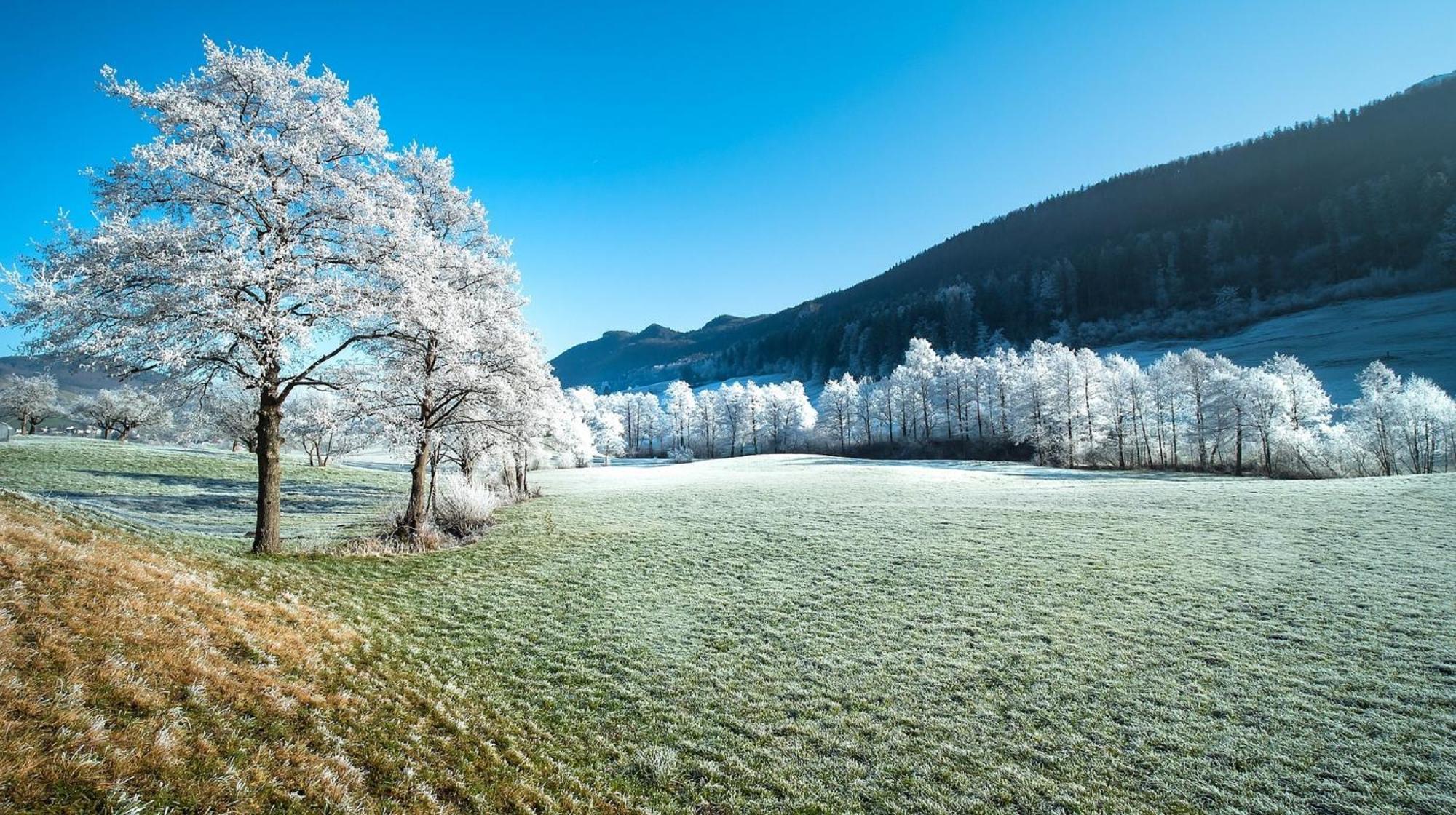 Alpen Appartement Winterberg Exteriér fotografie